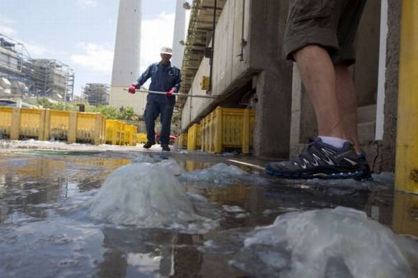 Медузы заблокировали водоснабжение электростанции