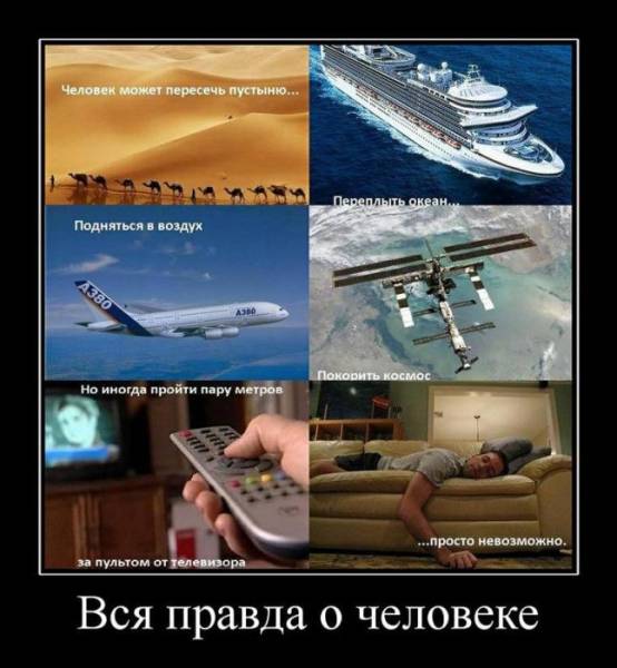 Демотиваторы