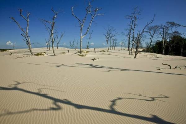 Национальный парк Lencois Maranhenses