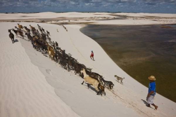 Национальный парк Lencois Maranhenses