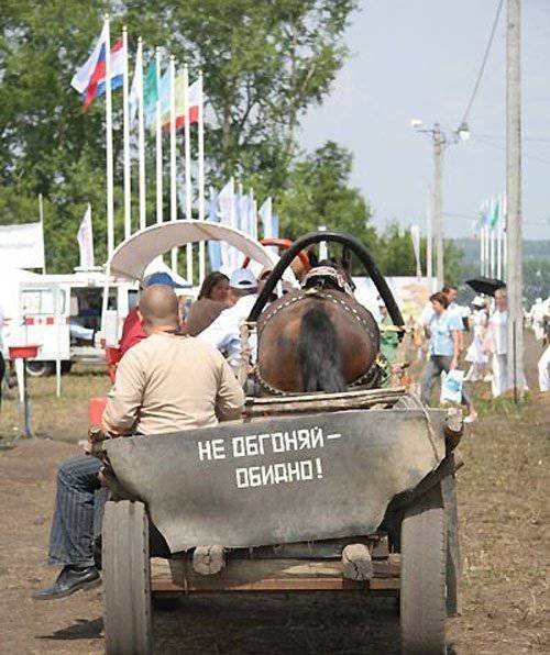 Нелепые объявления и надписи