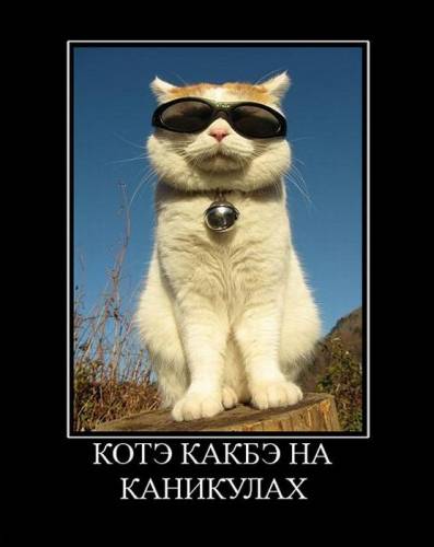 Демотиваторы