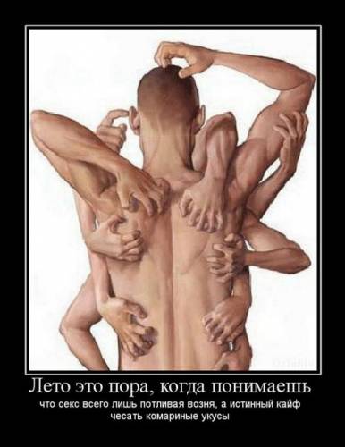 Демотиваторы