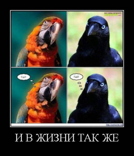 Демотиваторы