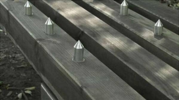 Монетизированная скамейка