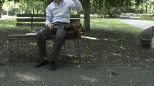 Монетизированная скамейка