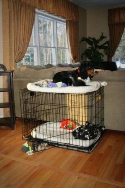 Прикольные картинки (40 штук)