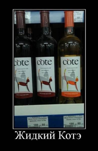 Демотиваторы