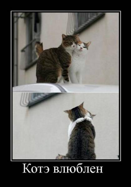 Демотиваторы