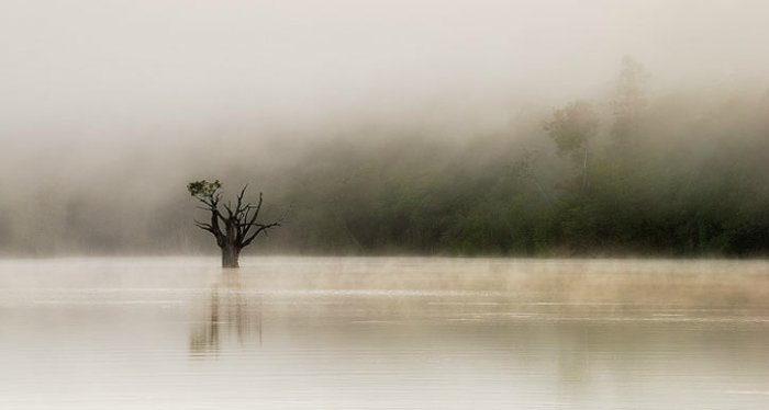 Вода глазами Andy Mumford