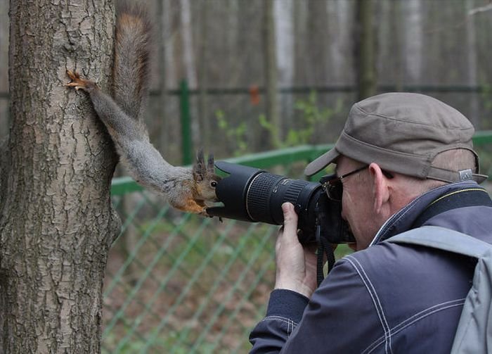 Отличные фотографии