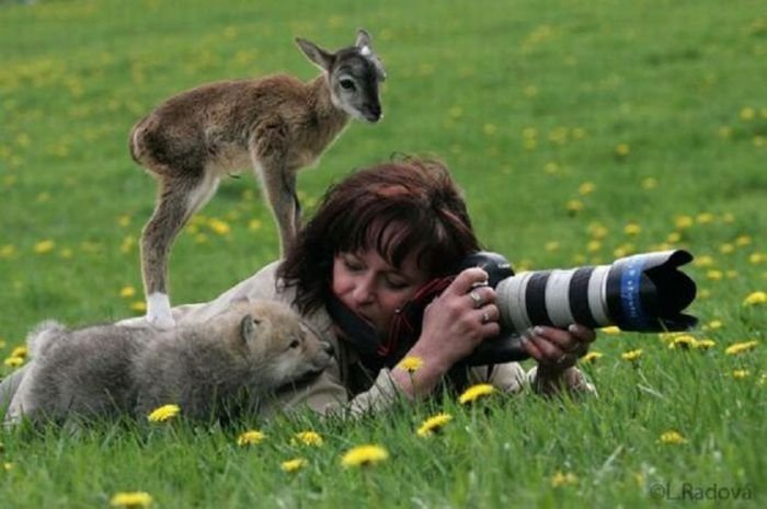 Отличные фотографии