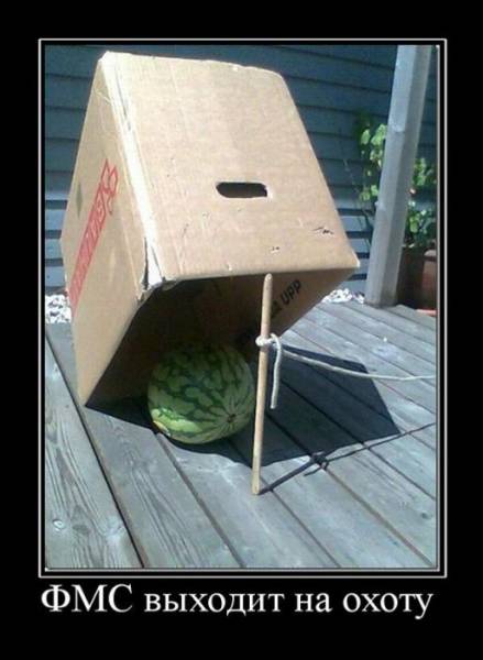 Демотиваторы