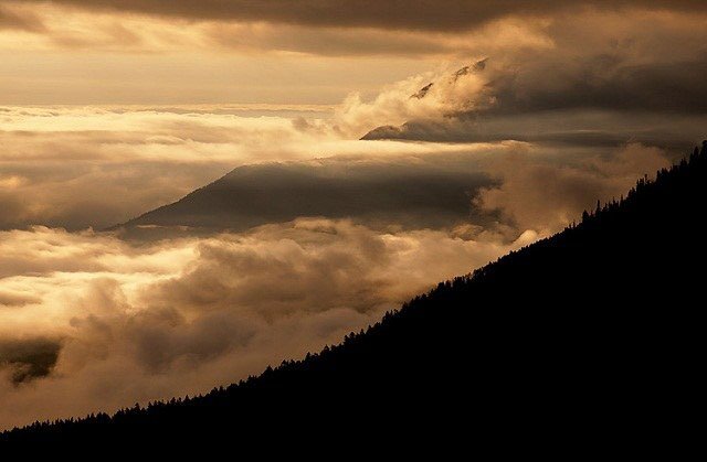 Фотограф Йен Плант