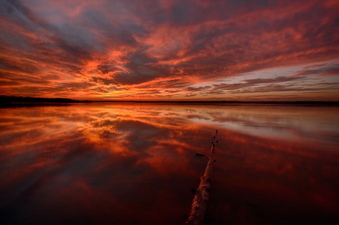 Фотограф Йен Плант