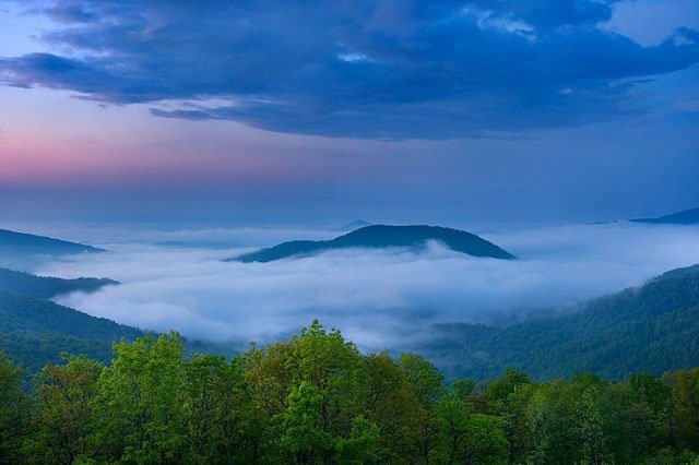 Фотограф Йен Плант