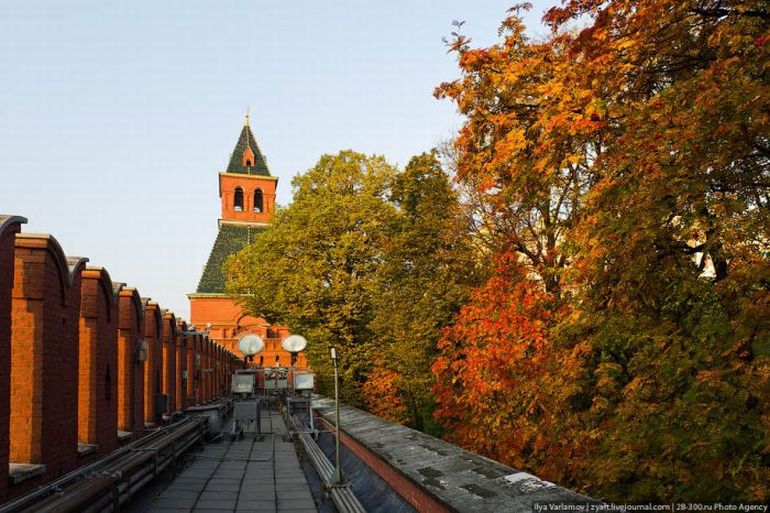 Прогулка по Кремлю (82 фото)