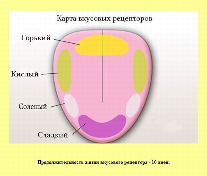 Интересные факты