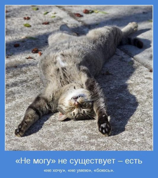 Мотиваторы