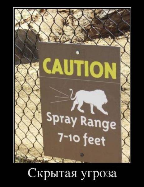 Демотиваторы