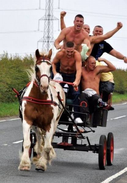 Прикольные картинки