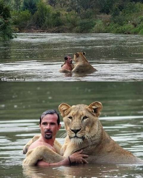 Прикольные картинки