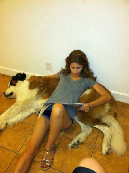 Прикольные картинки