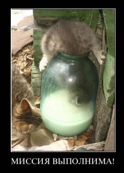 Демотиваторы