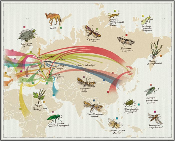 Растения и животные мигранты