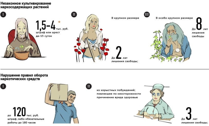 Ответственность за наркопреступления в России
