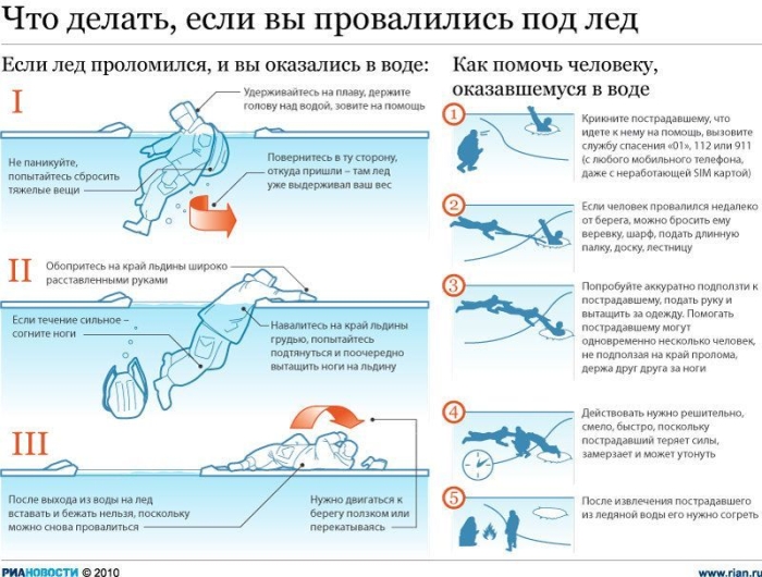 Предновогодняя инфографика