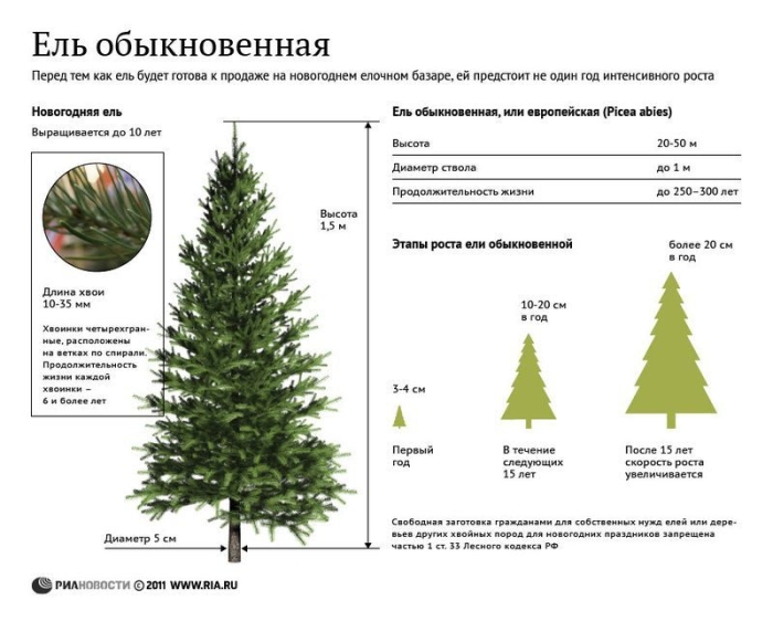 Предновогодняя инфографика