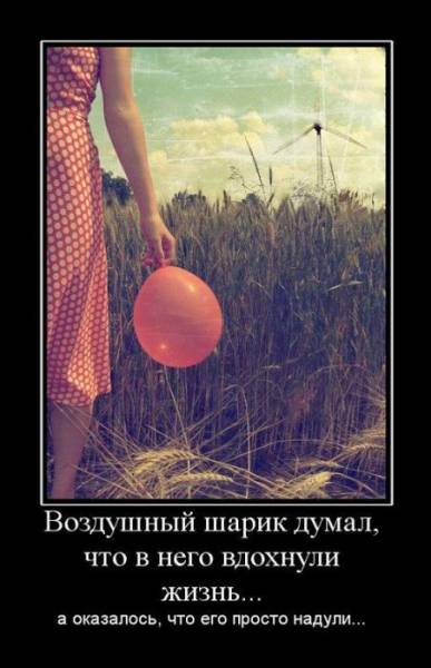 Демотиваторы