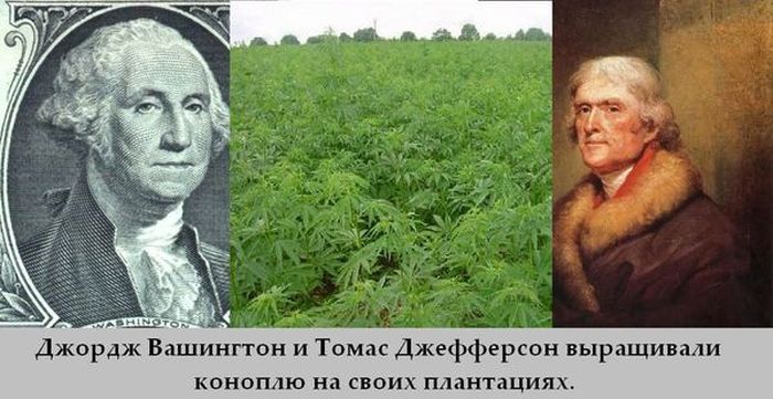 Факты в картинках