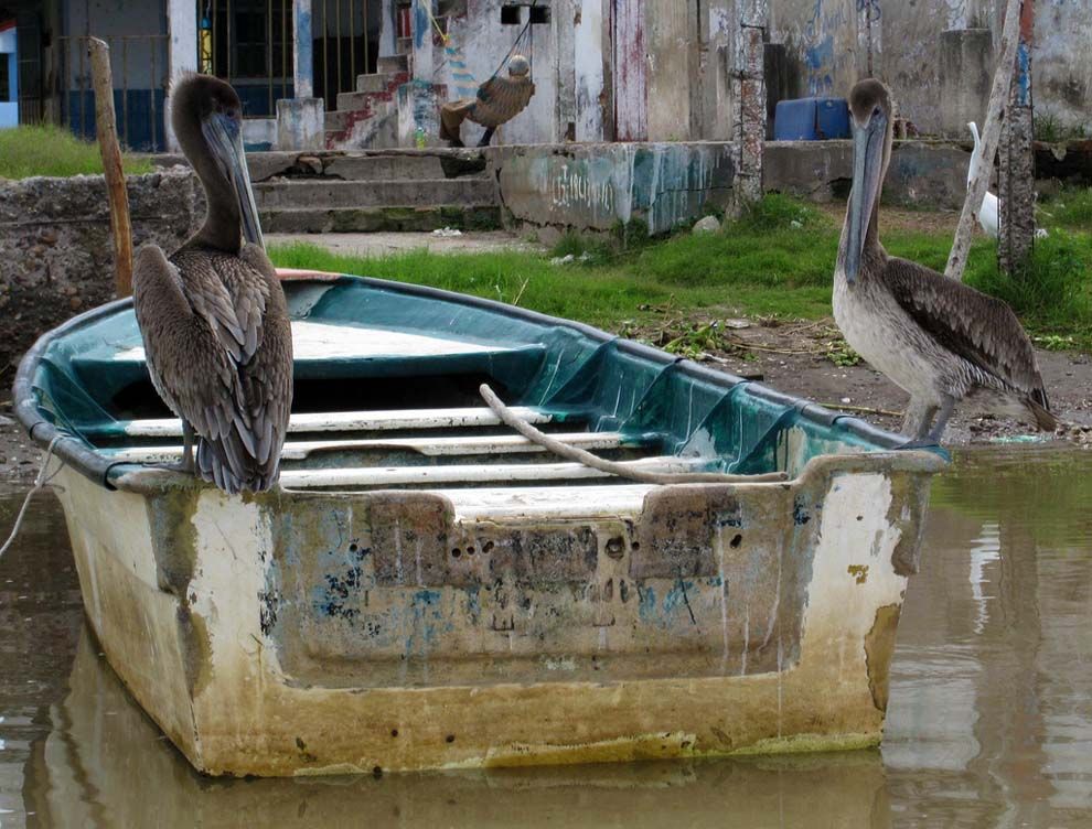 Мескальтитан – город на воде (12 фото)