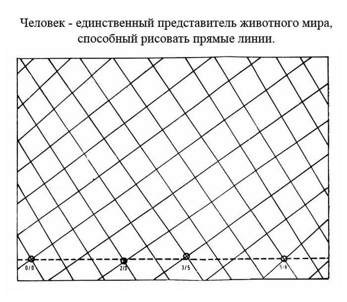 Факты про человека