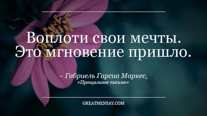 Фразы знаменитых людей