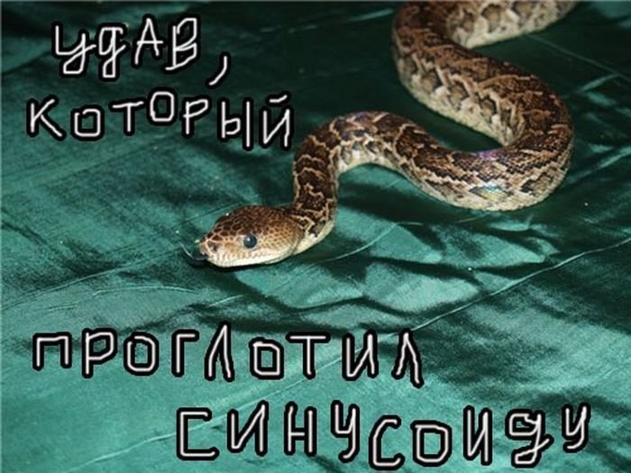 Удав, евший все