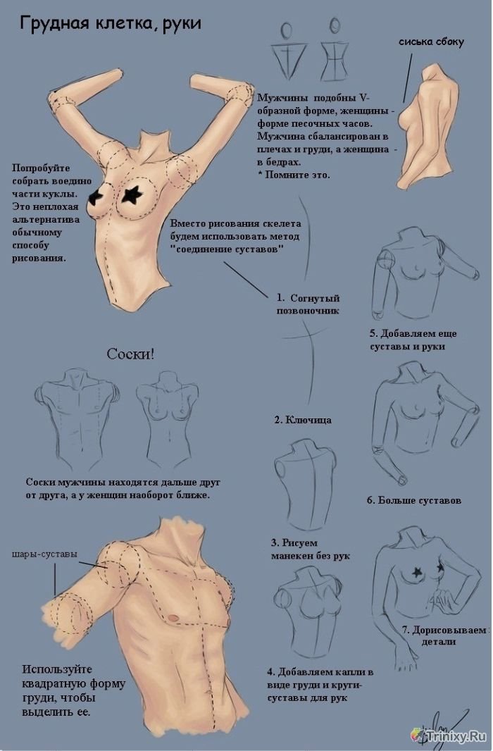 Учимся рисовать обнаженных девушек