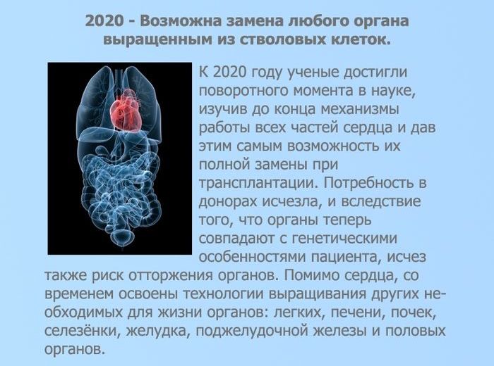 Прогноз мира на ближайшие 10 лет