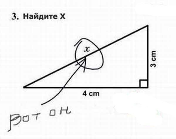 Находчивые школьники