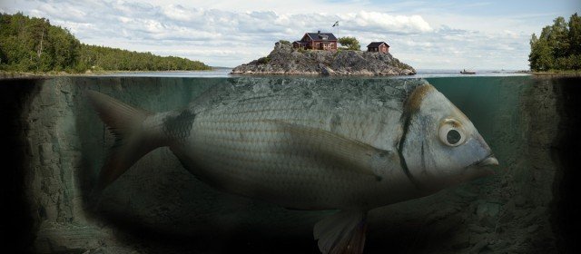 Иллюзии от Шведского мастера фотошопа