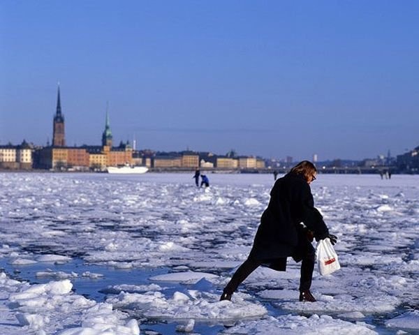 Весенние фото приколы